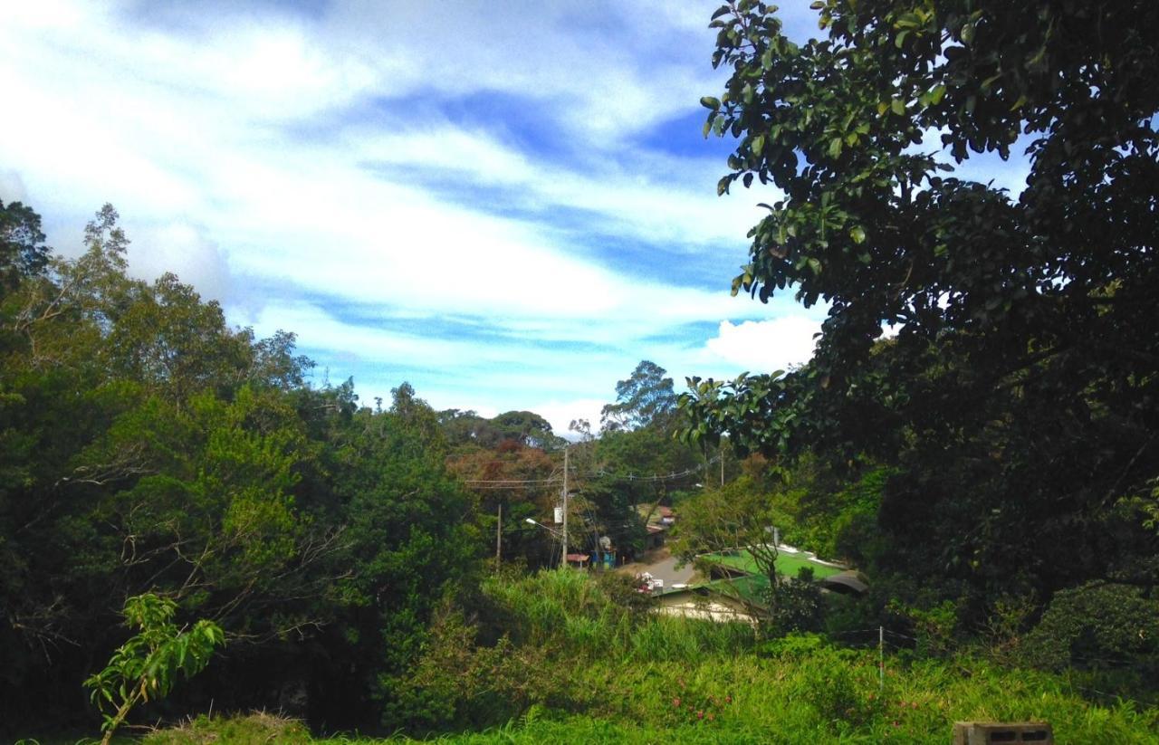 Fig Tree Haven Hotel Monteverde Exterior foto